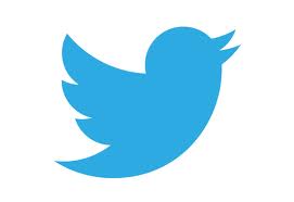 Blue is the Hue for Twitter Logo