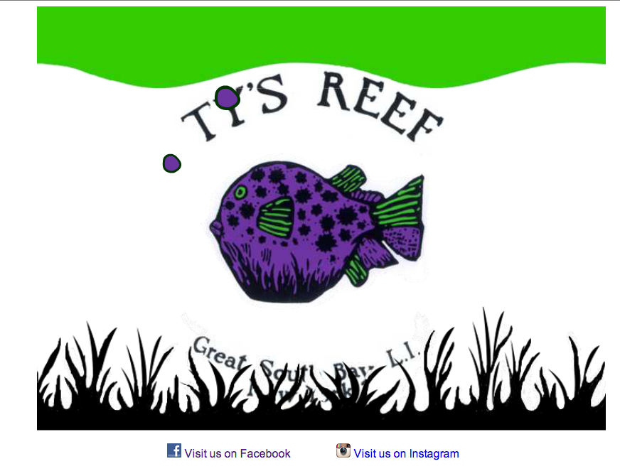 Tys Reef Home page Design