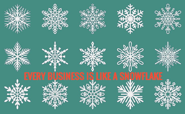 every-business-is-like-a-snowflake