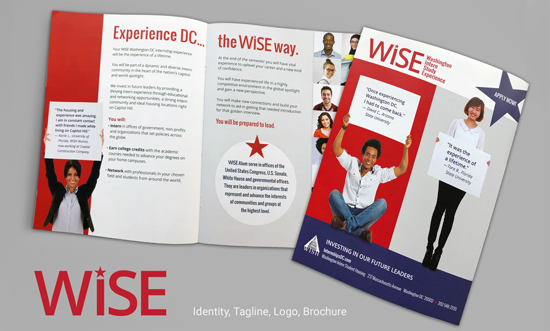 WISE Identity and Brochure Back Cover design