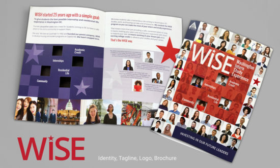 WISE-Identity-and-Brochure-design Network9 wins a Gold Stevie Award